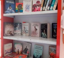 biblioteca-gargoles-de-abajo-03