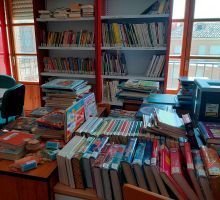 biblioteca-gargoles-de-abajo-04